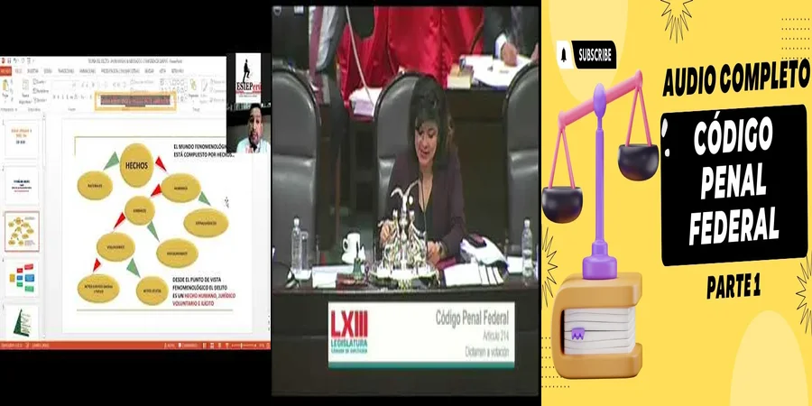 "Implicaciones del Artículo 212 del Código Penal en México"