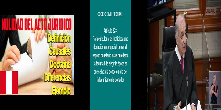 "Implicaciones del Artículo 219 del Código Civil en México"