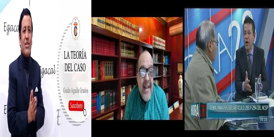 "Implicaciones del Artículo 294 del Código Procesal Penal en México"