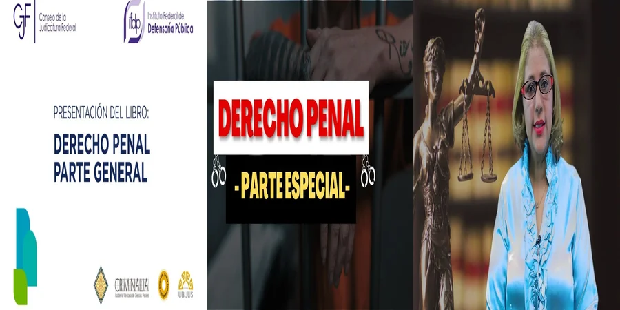 "Implicaciones del Derecho Penal Especial en México para Abogados"