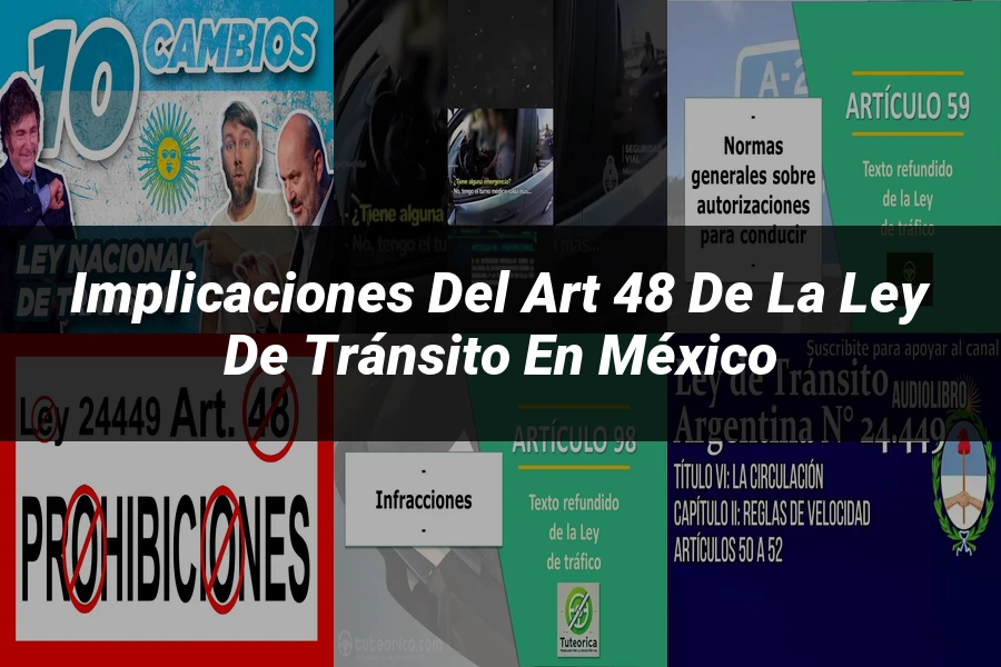 "Implicaciones del art 48 de la ley de tránsito en México"