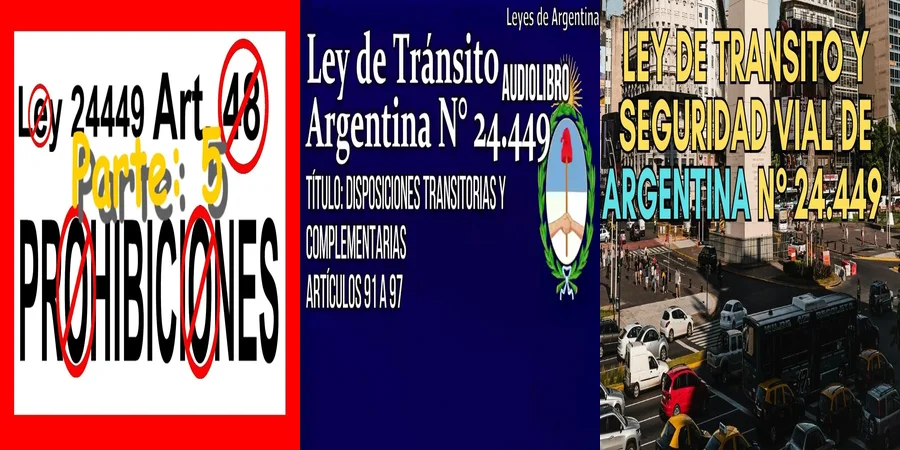 "Implicaciones del art 48 de la ley de tránsito en México"