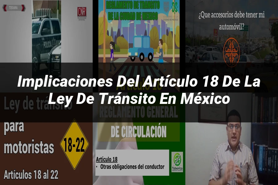 "Implicaciones del artículo 18 de la ley de tránsito en México"