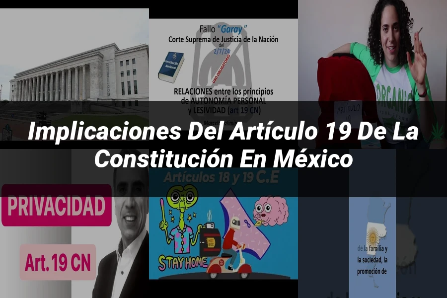 "Implicaciones del artículo 19 de la Constitución en México"