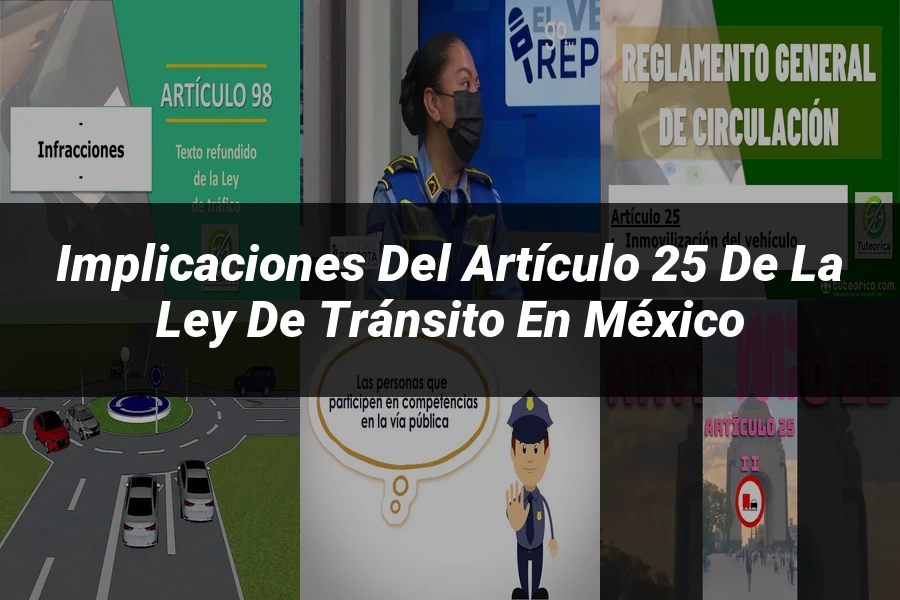 "Implicaciones del artículo 25 de la ley de tránsito en México"