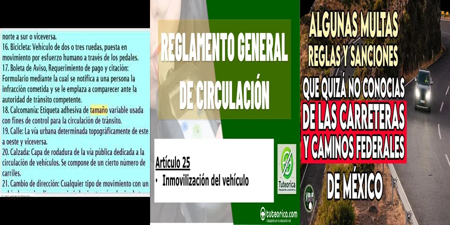 "Implicaciones del artículo 25 de la ley de tránsito en México"