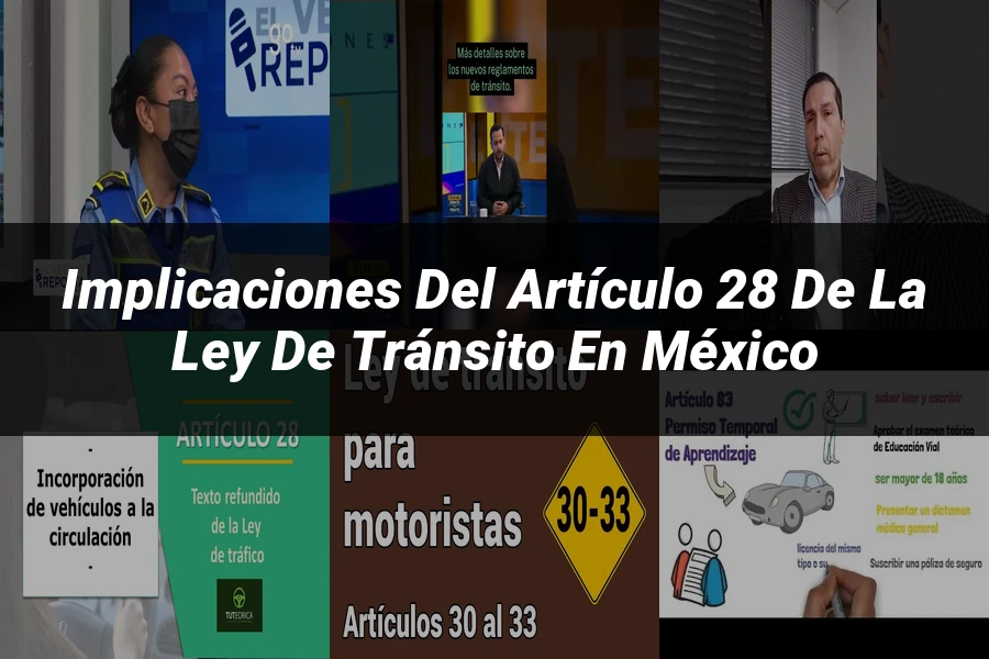 "Implicaciones del artículo 28 de la ley de tránsito en México"