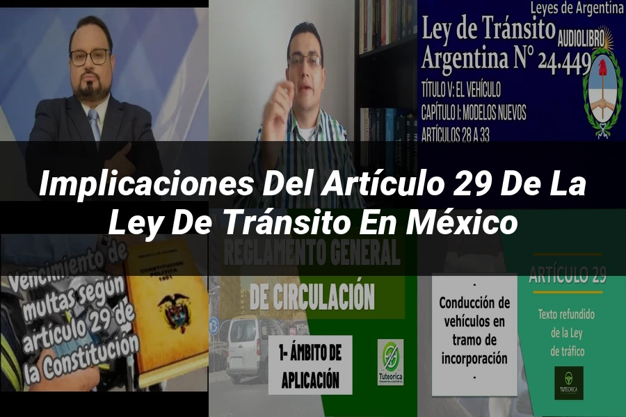 "Implicaciones del artículo 29 de la ley de tránsito en México"
