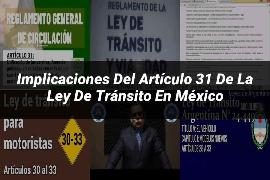 "Implicaciones del artículo 31 de la ley de tránsito en México"