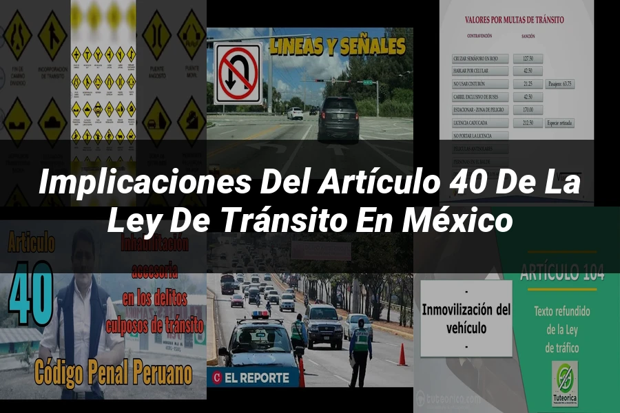 "Implicaciones del artículo 40 de la ley de tránsito en México"