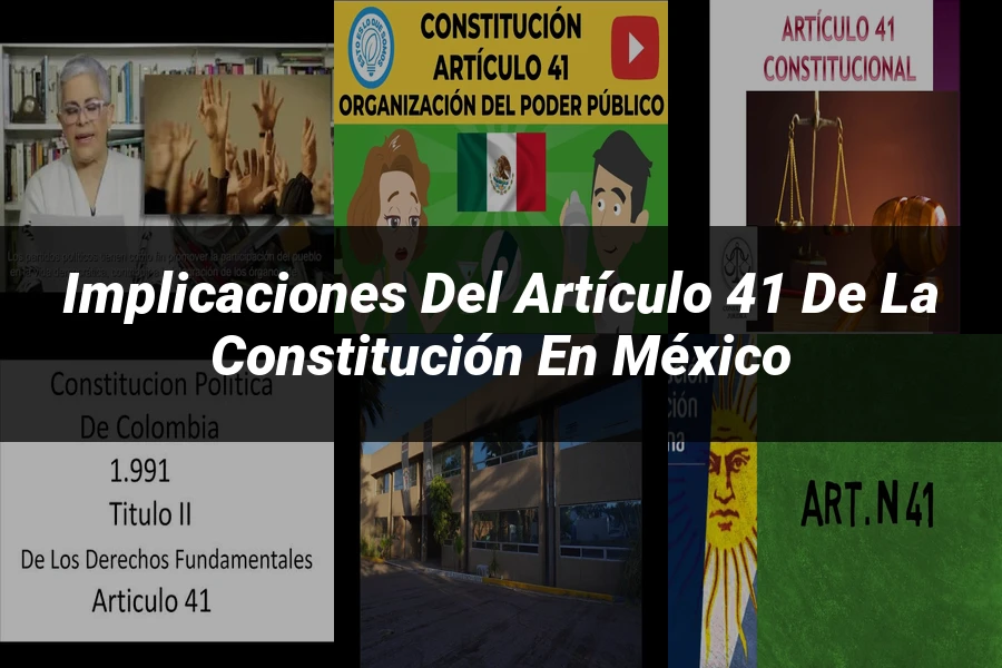 "Implicaciones del artículo 41 de la Constitución en México"