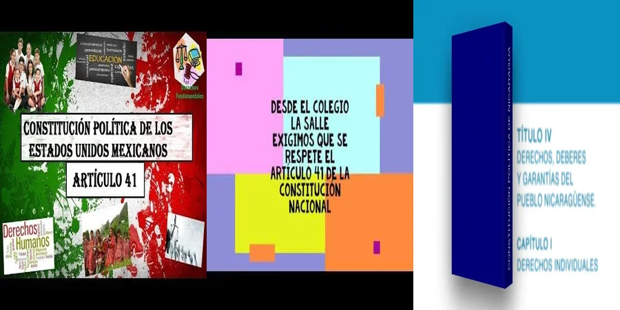 "Implicaciones del artículo 41 de la Constitución en México"
