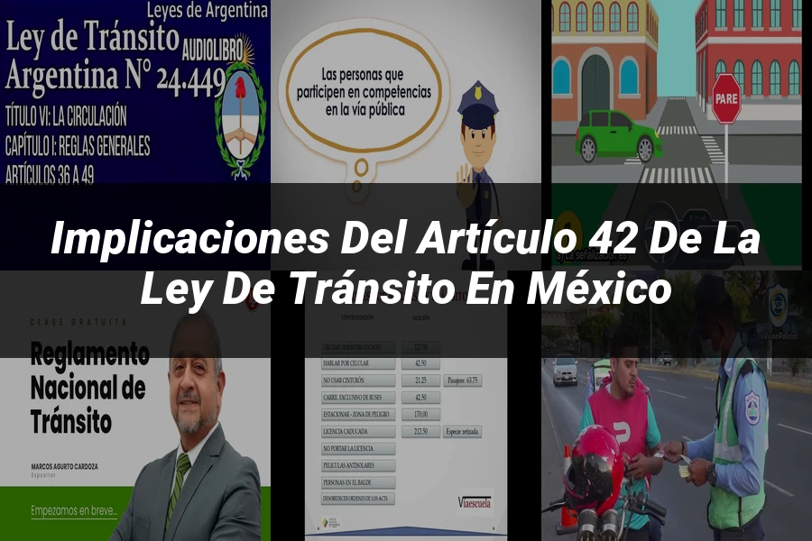 "Implicaciones del artículo 42 de la ley de tránsito en México"