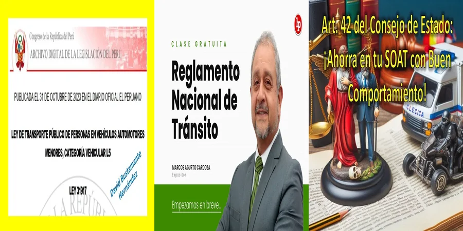 "Implicaciones del artículo 42 de la ley de tránsito en México"