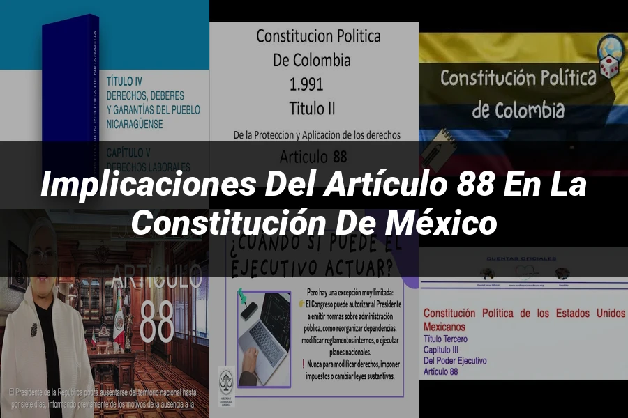 "Implicaciones del artículo 88 en la Constitución de México"
