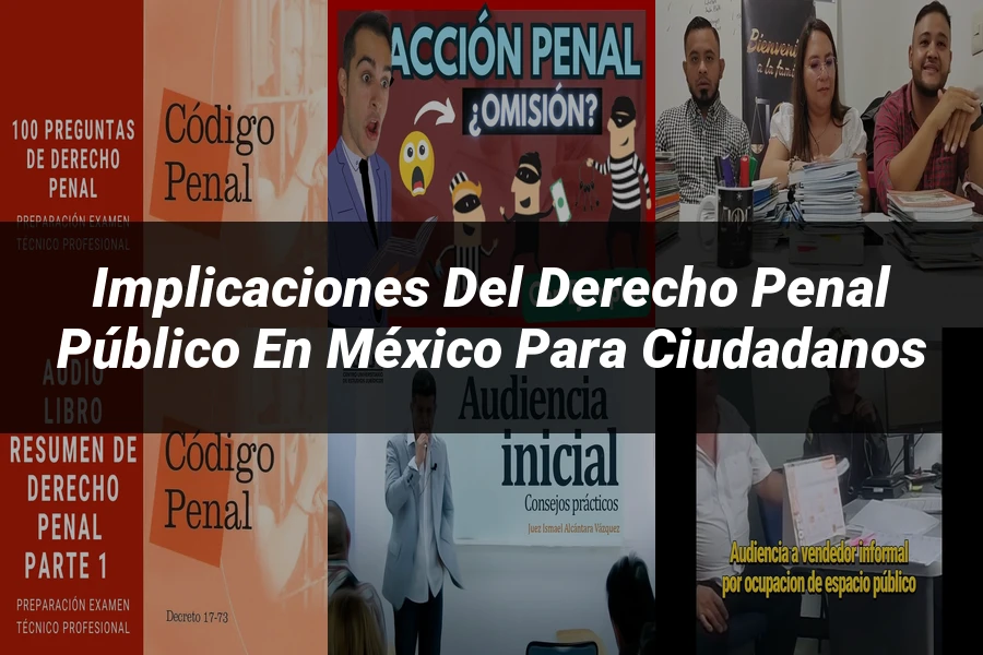 "Implicaciones del derecho penal público en México para ciudadanos"