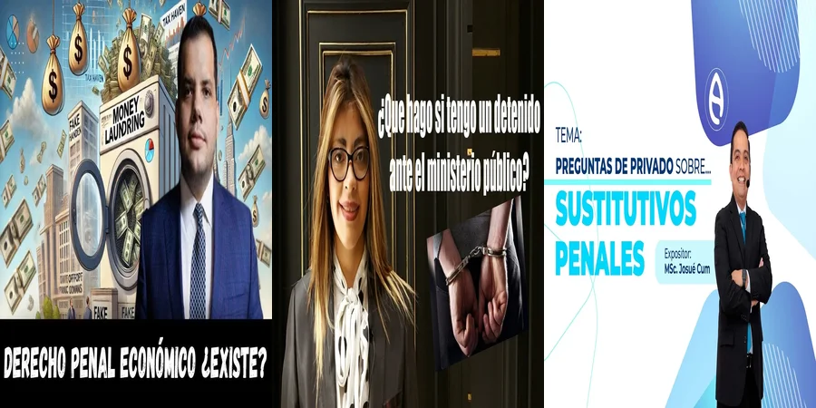 "Implicaciones del derecho penal público en México para ciudadanos"