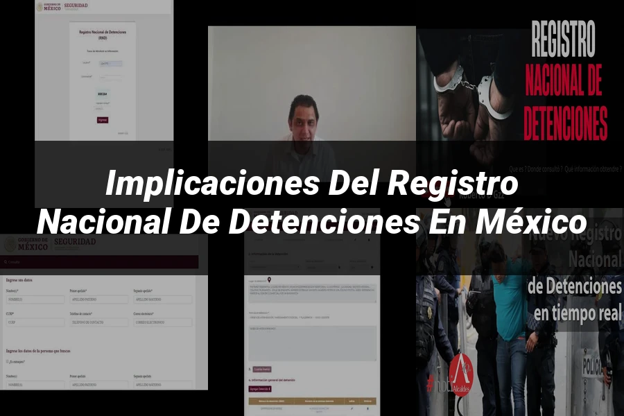"Implicaciones del registro nacional de detenciones en México"