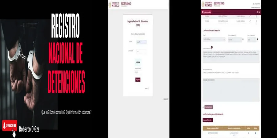 "Implicaciones del registro nacional de detenciones en México"