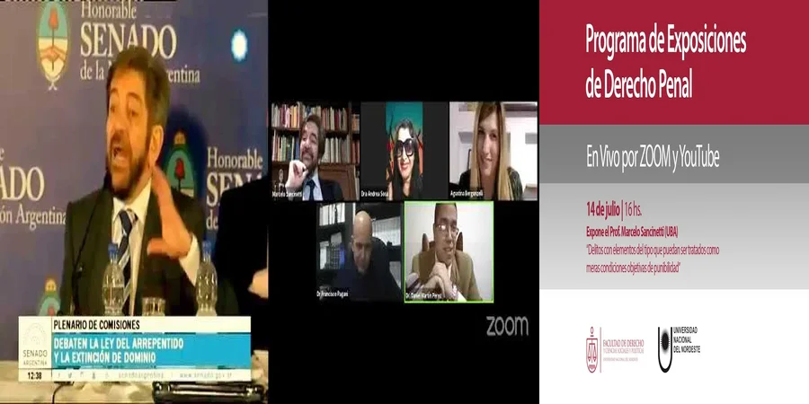 "Implicaciones legales de la figura de Marcelo Sancinetti en México"