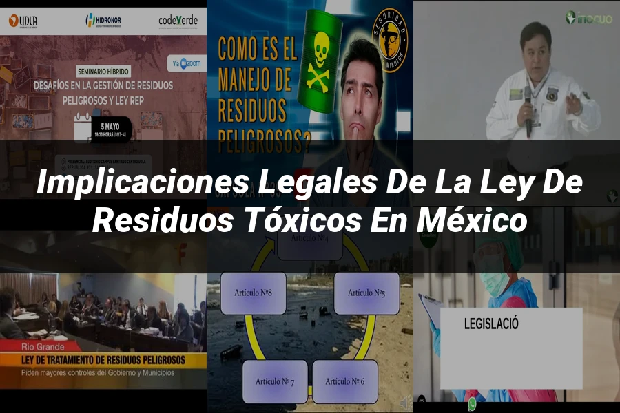 "Implicaciones legales de la ley de residuos tóxicos en México"