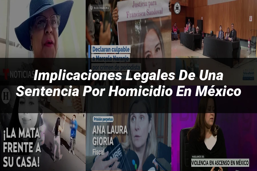 "Implicaciones legales de una sentencia por homicidio en México"