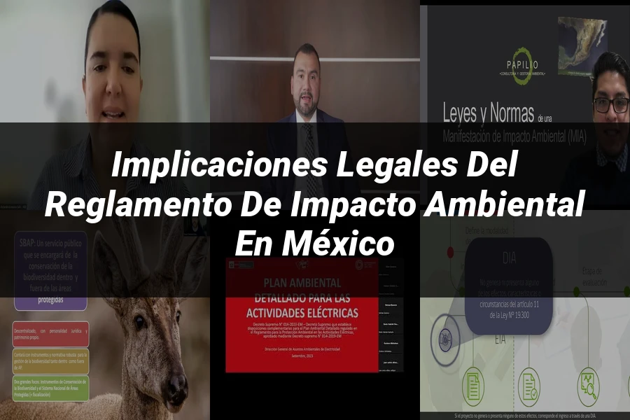 "Implicaciones legales del reglamento de impacto ambiental en México"