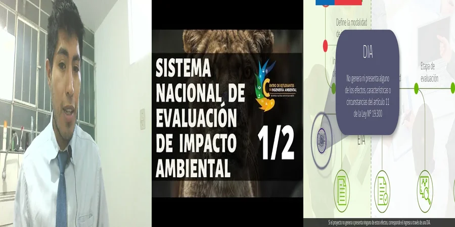 "Implicaciones legales del reglamento de impacto ambiental en México"