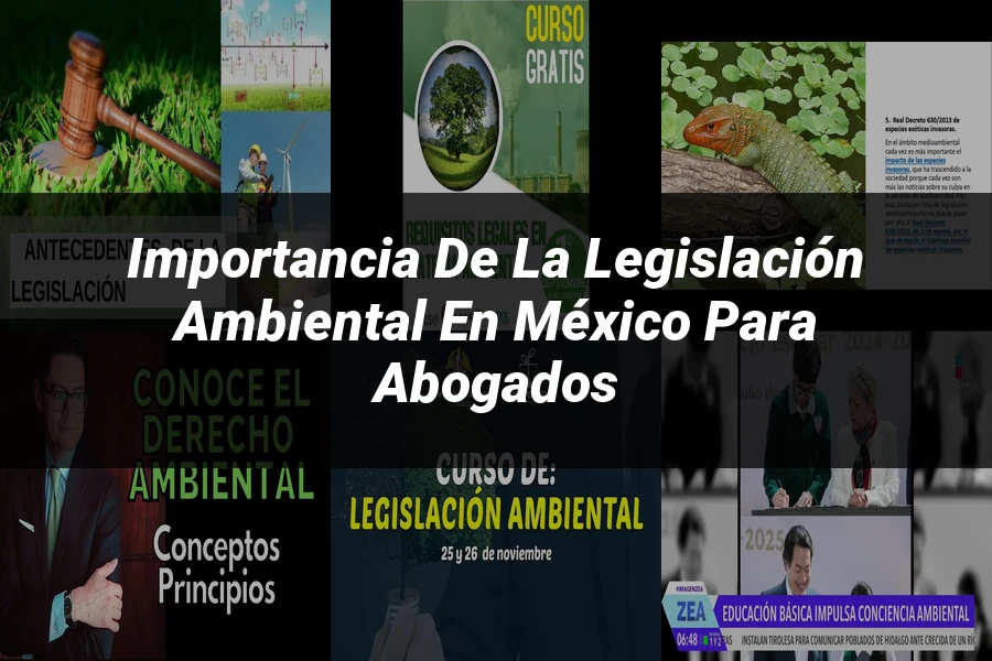 "Importancia de la Legislación Ambiental en México para Abogados"