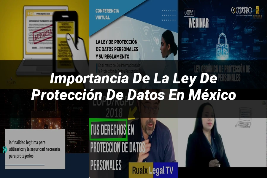 "Importancia de la Ley de Protección de Datos en México"