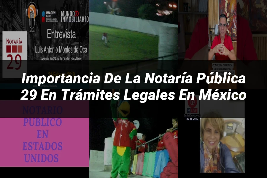 "Importancia de la Notaría Pública 29 en trámites legales en México"