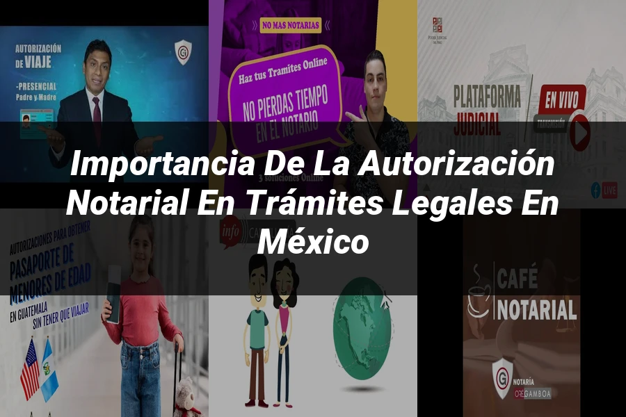 "Importancia de la autorización notarial en trámites legales en México"