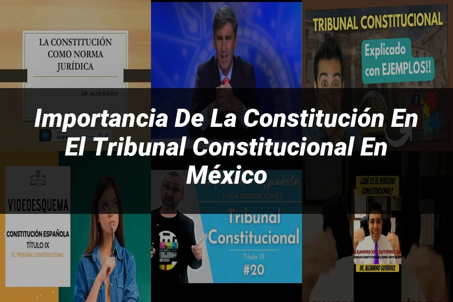 "Importancia de la constitución en el tribunal constitucional en México"