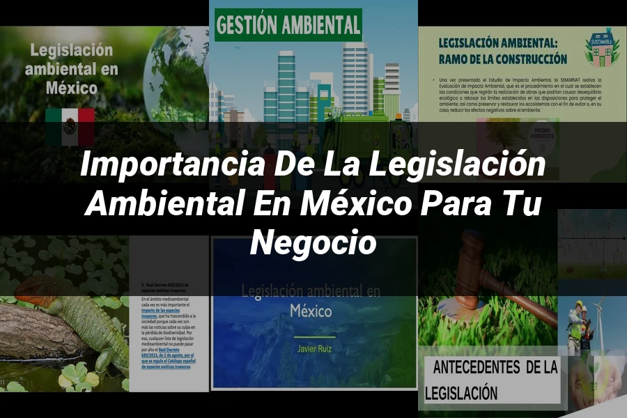 "Importancia de la legislación ambiental en México para tu negocio"
