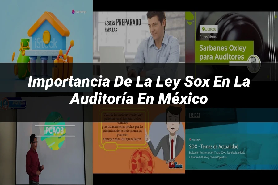 "Importancia de la ley SOX en la auditoría en México"