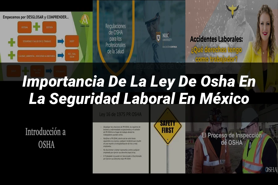 "Importancia de la ley de OSHA en la seguridad laboral en México"