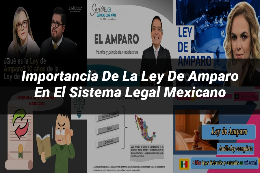 "Importancia de la ley de amparo en el sistema legal mexicano"