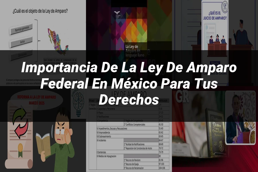 "Importancia de la ley de amparo federal en México para tus derechos"