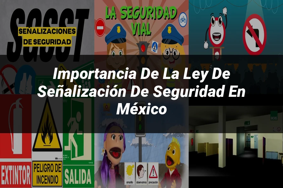 "Importancia de la ley de señalización de seguridad en México"