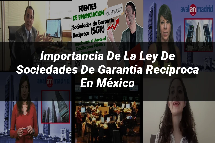 "Importancia de la ley de sociedades de garantía recíproca en México"