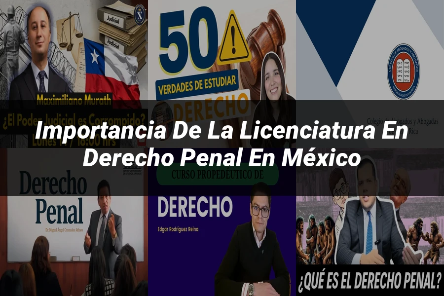 "Importancia de la licenciatura en derecho penal en México"