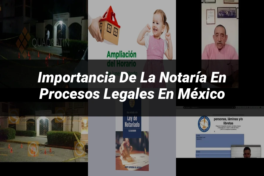 "Importancia de la notaría en procesos legales en México"