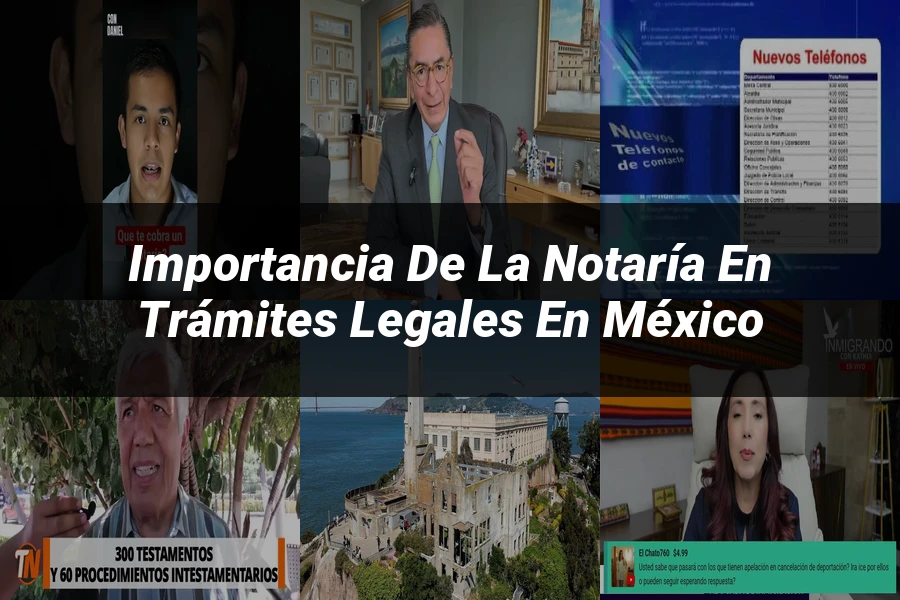 "Importancia de la notaría en trámites legales en México"