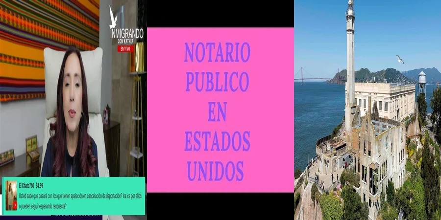 "Importancia de la notaría en trámites legales en México"