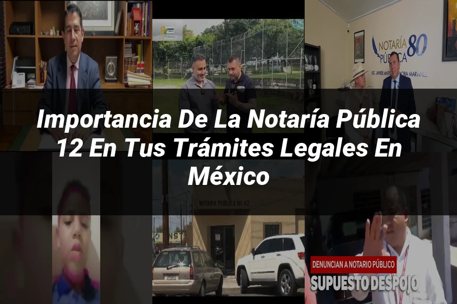 "Importancia de la notaría pública 12 en tus trámites legales en México"
