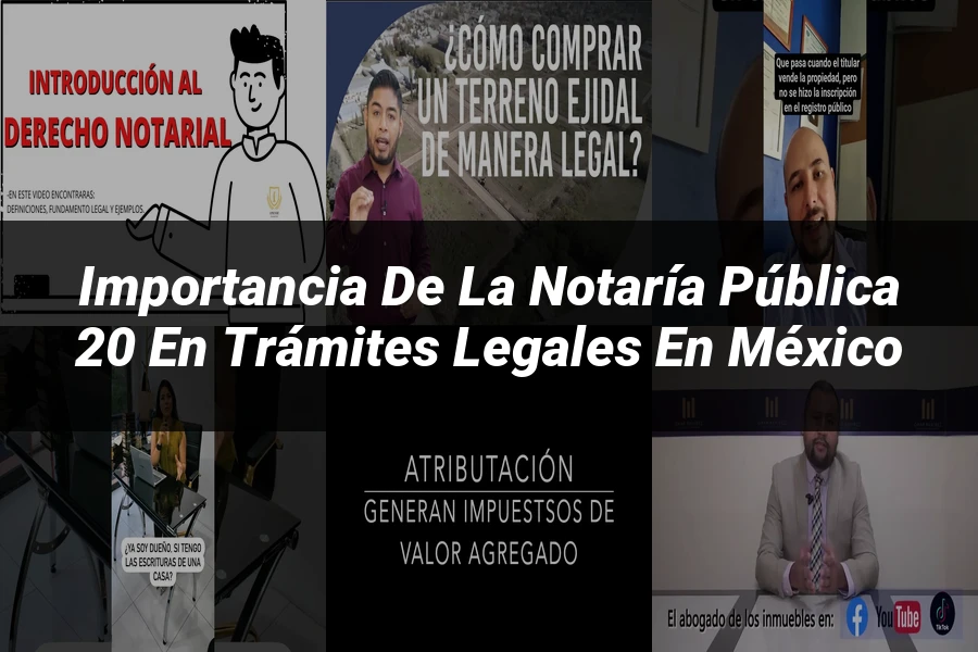 "Importancia de la notaría pública 20 en trámites legales en México"