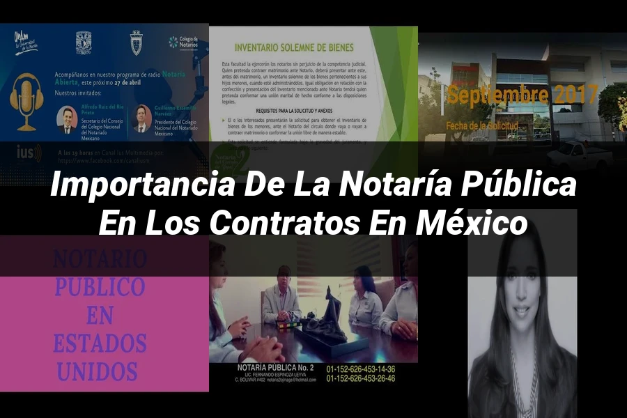 "Importancia de la notaría pública en los contratos en México"