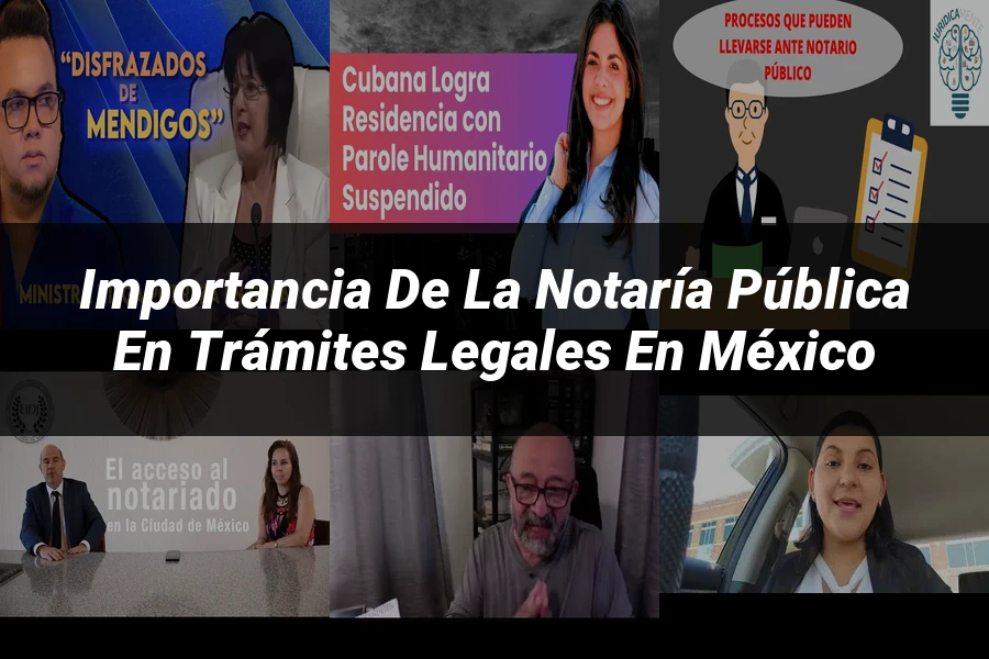 "Importancia de la notaría pública en trámites legales en México"