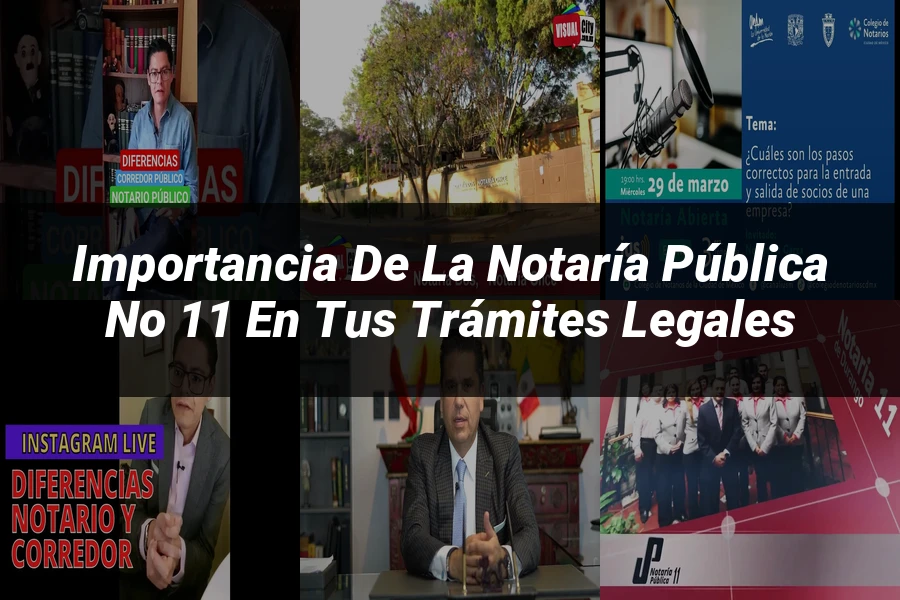 "Importancia de la notaría pública no 11 en tus trámites legales"