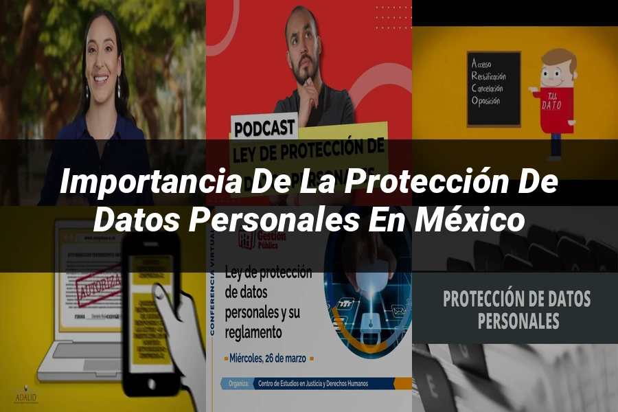 "Importancia de la protección de datos personales en México"